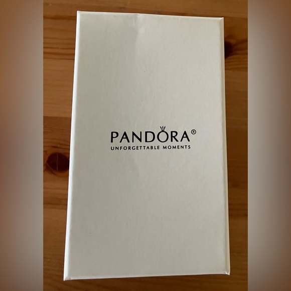 Pandora 2013 Santa Claus Porcelain Holiday Christmas Ornament Limited Edition - Picture 7 of 8